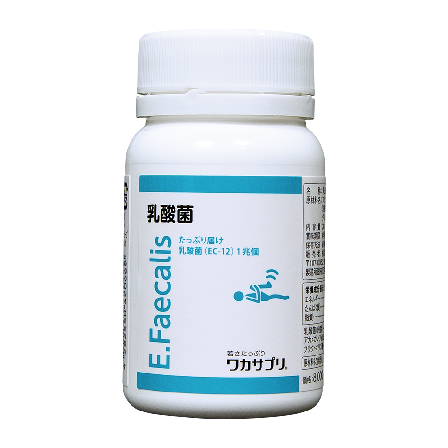 乳酸菌