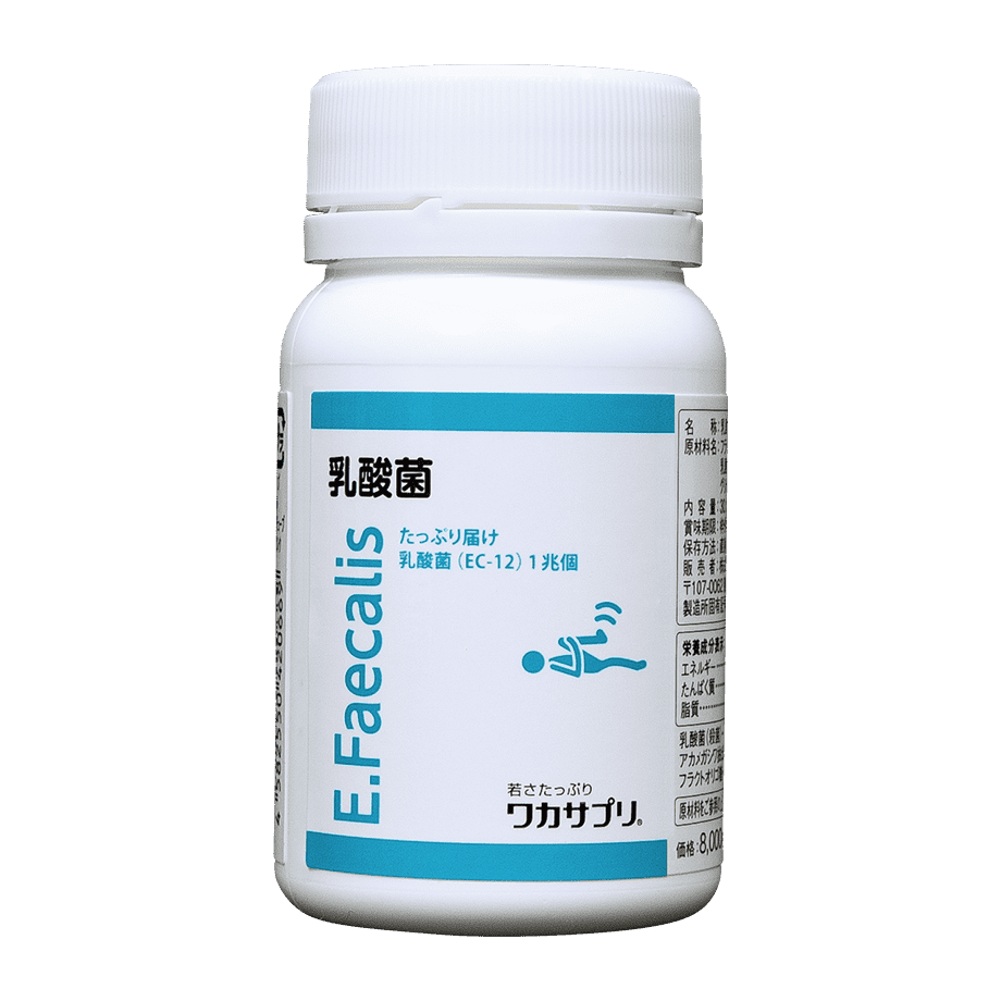 乳酸菌（EC-12）