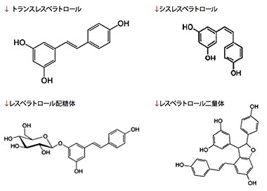 レスベラトロール構造式